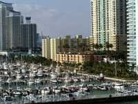 Cruise 091 Miami sailboats