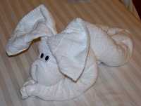 Cruise 288 towel bunny