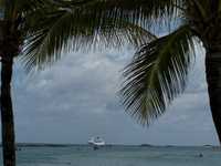 Cruise 319 palms and ship