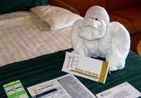 Cruise 336 towel gorilla and departure